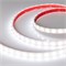 Лента RTW 2-5000PW 24V White6000 2x (5060, 300 LED, LUX) (Arlight, 14.4 Вт/м, IP66) 016170 - фото 95815