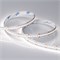 Светодиодная лента RT-A240-10mm 24V Day4000 (19.2 W/m, IP20, 3528, 5m) (Arlight, Открытый) 017431(2) - фото 95876