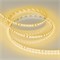 Лента RT-A120-8mm 24V Yellow (9.6 W/m, IP20, 2835, 5m) (Arlight, Открытый) 008780(2) - фото 95888