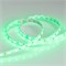 Лента RTW 2-5000SE 24V Green 2x (5060, 300 LED, LUX) (Arlight, 14.4 Вт/м, IP65) 016505-1 - фото 96027