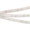 Лента герметичная RTW-PS-A60-10mm 12V Warm2700 (4.8 W/m, IP67, 2835, 5m) (Arlight, 4.8 Вт/м, IP67) 028506(2) - фото 96058