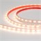Лента герметичная RTW-PS-A60-10mm 12V Warm2700 (4.8 W/m, IP67, 2835, 5m) (Arlight, 4.8 Вт/м, IP67) 028506(2) - фото 96060