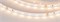 Лента RT 2-5000-50m 24V Warm2700 (3528, 60 LED/m, LUX) (Arlight, 4.8 Вт/м, IP20) 024585-1 - фото 96068