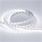 Лента RT 2-5000 12V Cx1 White6000 2x (5060, 360 LED, LUX) (Arlight, 15.6 Вт/м, IP20) 011705 - фото 96117
