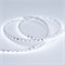 Лента RT 2-5000 24V Cool 8K 5mm 2x (3528, 600 LED, LUX) (Arlight, 9.6 Вт/м, IP20) 015650(B) - фото 97187