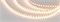Лента RZ-A120-6mm 12V Warm2700 (12 W/m, IP20, 2835, 5m) (Arlight, 12 Вт/м, IP20) 036448 - фото 97358