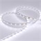 Лента RT 2-5000 24V White6000 (3528, 300 LED, LUX) (Arlight, 4.8 Вт/м, IP20) 011504 - фото 97447