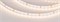 Лента RT 2-5000 24V Warm3000 1.6x (2835, 490 LED, CRI98) (Arlight, 10 Вт/м, IP20) 021453(1) - фото 97607