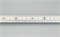 Лента RT 2-5000 24V Warm3000 1.6x (2835, 490 LED, CRI98) (Arlight, 10 Вт/м, IP20) 021453(1) - фото 97610