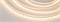 Лента RT 2-5000 24V Cx2 Warm3500 10mm (2835, 168 LED/m, LUX) (Arlight, 17 Вт/м, IP20) 028737 - фото 97835