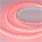 Светодиодная лента RT-GM288-12mm 24V RGBW-MIX (19.2 W/m, IP20, 3838/2216, 5m) (Arlight, Открытый) 028258(2) - фото 97955