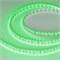 Светодиодная лента RT-GM288-12mm 24V RGBW-MIX (19.2 W/m, IP20, 3838/2216, 5m) (Arlight, Открытый) 028258(2) - фото 97958