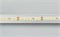 Лента RT 2-5000 24V Day5000 2x (2835, 160 LED/m, LUX) (Arlight, 12 Вт/м, IP20) 024536 - фото 98107