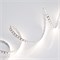 Лента RT 2-5000 24V Day4000 2x (3528, 600 LED, LUX) (Arlight, 9.6 Вт/м, IP20) 011581(B) - фото 98202