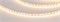 Лента RZ-A120-6mm 24V Warm2700 (9.6 W/m, IP20, 2835, 5m) (Arlight, -) 040806 - фото 98553