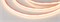 Лента COB-5000PS-CSP-544-24V Warm3000 (10mm, 11.5W, IP67) (Arlight, -) 031909 - фото 98628