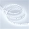 Лента RT 2-5000 24V Cool 8K 1.6x (2835, 490 LED, PRO) (Arlight, 10 Вт/м, IP20) 019912(1) - фото 98655