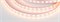 Лента RTW 2-5000P 12V Warm2700 2x (5060, 300 LED, LUX) (Arlight, 14.4 Вт/м, IP66) 012385 - фото 98726