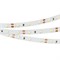 Лента RT 2-5000 12V White6000 (3528, 300 LED, LUX) (Arlight, 4.8 Вт/м, IP20) 010522(B) - фото 98732