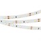 Лента RT 2-5000 12V White6000 (3528, 300 LED, LUX) (Arlight, 4.8 Вт/м, IP20) 010522(B) - фото 98733