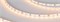 Лента MICROLED-M120-4mm 24V Warm2700 (9.6 W/m, IP20, 2216, 5m) (Arlight, 9.6 Вт/м, IP20) 024415(2) - фото 98890