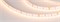 Лента MICROLED-5000HP 24V Warm2700 8mm (2216, 120 LED/m, LUX) (Arlight, 14 Вт/м, IP20) 024432 - фото 98950