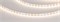 Лента RZ-A120-6mm 24V Warm3500 (9.6 W/m, IP20, 2835, 5m) (Arlight, -) 041486 - фото 99082