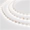 Лента RT 2-5000-50m 24V Day4000 (3528, 60 LED/m, LUX) (Arlight, 4.8 Вт/м, IP20) 024583(1) - фото 99124