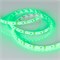 Лента RTW 2-5000SE 12V Green 2x (3528, 600 LED, LUX) (Arlight, 9.6 Вт/м, IP65) 014792 - фото 99180