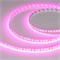 Лента RT-A120-8mm 24V Magenta (9.6 W/m, IP20, 2835, 5m) (Arlight, -) 043381 - фото 99184