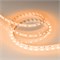 Лента RT-B60-10mm 24V Orange (14.4 W/m, IP20, 5060, 5m) (Arlight, 14.4 Вт/м, IP20) 015974(2) - фото 99265