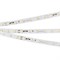 Лента RT-20000 24V Warm3000 (3528, 60 LED/m, 20m) (Arlight, 4.8 Вт/м, IP20) 025012 - фото 99330