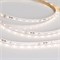 Лента RT-20000 24V Warm3000 (3528, 60 LED/m, 20m) (Arlight, 4.8 Вт/м, IP20) 025012 - фото 99331