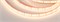 Лента герметичная RTW-PS-A120-10mm 12V Warm2700 (9.6 W/m, IP67, 2835, 5m) (Arlight, 9.6 Вт/м, IP67) 028547(2) - фото 99347