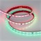 Лента герметичная DMX-PS-B60-12mm 24V RGB-PX6 (14 W/m, IP67, 5060, 5m) (Arlight, -) 039182 - фото 99459