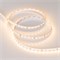 Лента RT 2-5000 24V Warm2700 1.6x (2835, 490 LED, PRO) (Arlight, 10 Вт/м, IP20) 019928(B) - фото 99741