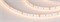 Светодиодная лента MICROLED-M120-8mm 24V Warm3000 (6.5 W/m, IP20, 2216, 5m) (Arlight, Открытый) 024438(2) - фото 99878