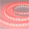 Лента RT-B60-10mm 24V Red (14.4 W/m, IP20, 5060, 5m) (Arlight, Открытый) 008817(2) - фото 99941