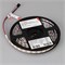 Лента SPI-B60-10mm 12V Warm3000-PX1-RAM (9.3 W/m, IP20, 5060, 5m) (Arlight, бегущий огонь) 037827 - фото 99976
