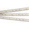 Лента герметичная RTW-PS-B60-13mm 24V Warm3000 (14.4 W/m, IP67, 5060, 5m) (Arlight, 14.4 Вт/м, IP67) 021464(2) - фото 99982