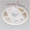Лента герметичная RTW-PW-A280-10mm 24V Day4000 (10 W/m, IP66, 2835, 5m) (Arlight, Матовая) 038651 - фото 99987